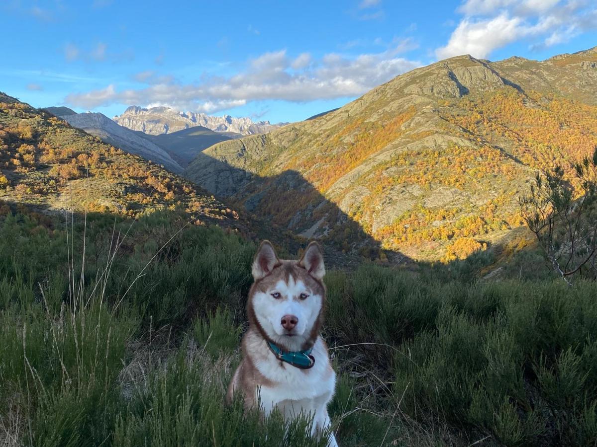 El Invernal De Picos Portilla de la Reina Esterno foto