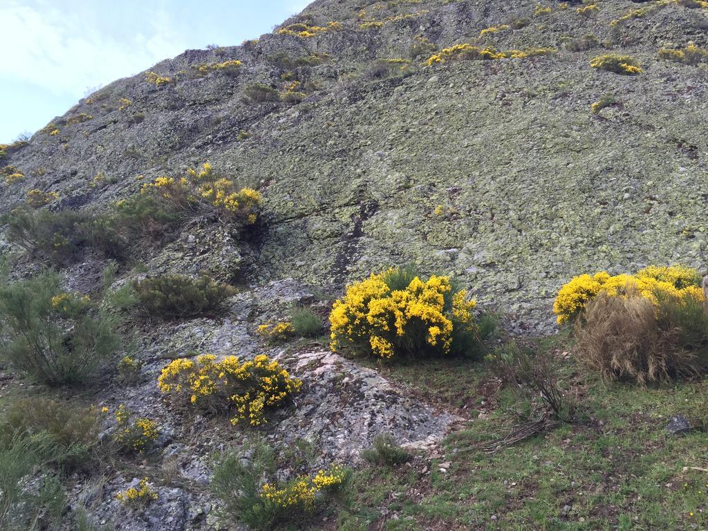 El Invernal De Picos Portilla de la Reina Esterno foto