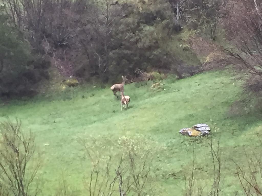 El Invernal De Picos Portilla de la Reina Esterno foto